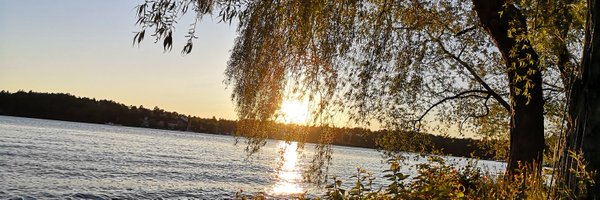 andreea_metrics Profile Banner