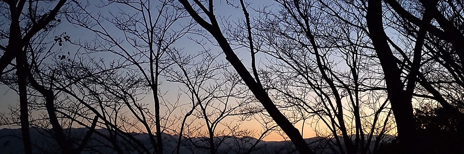 naji0377's profile banner image