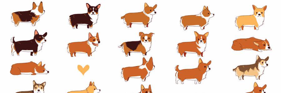 kobrul's profile banner image
