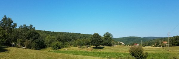 AndreaZDS Profile Banner