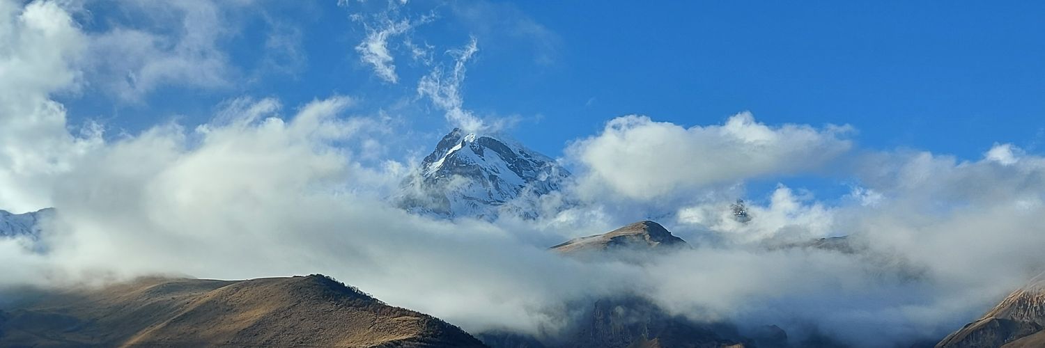 Misagh Moayyed banner