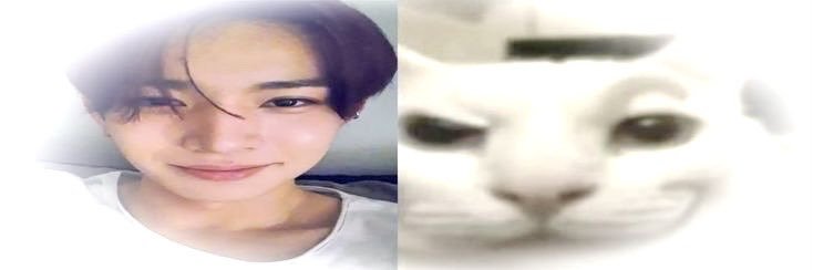 sheu, rest ✷ banner
