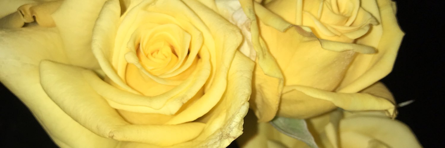 lyssrno's profile banner image