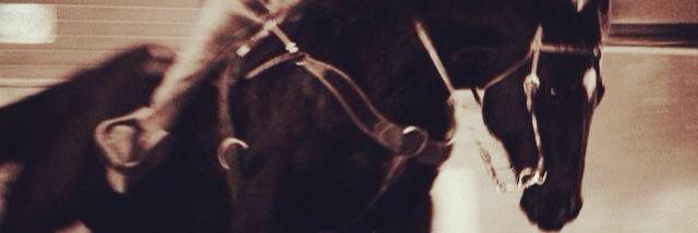 Shay_Crowe's profile banner image