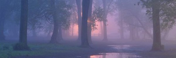 emishahimi Profile Banner