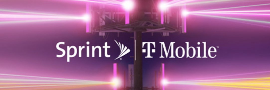 Stephen Lentini banner