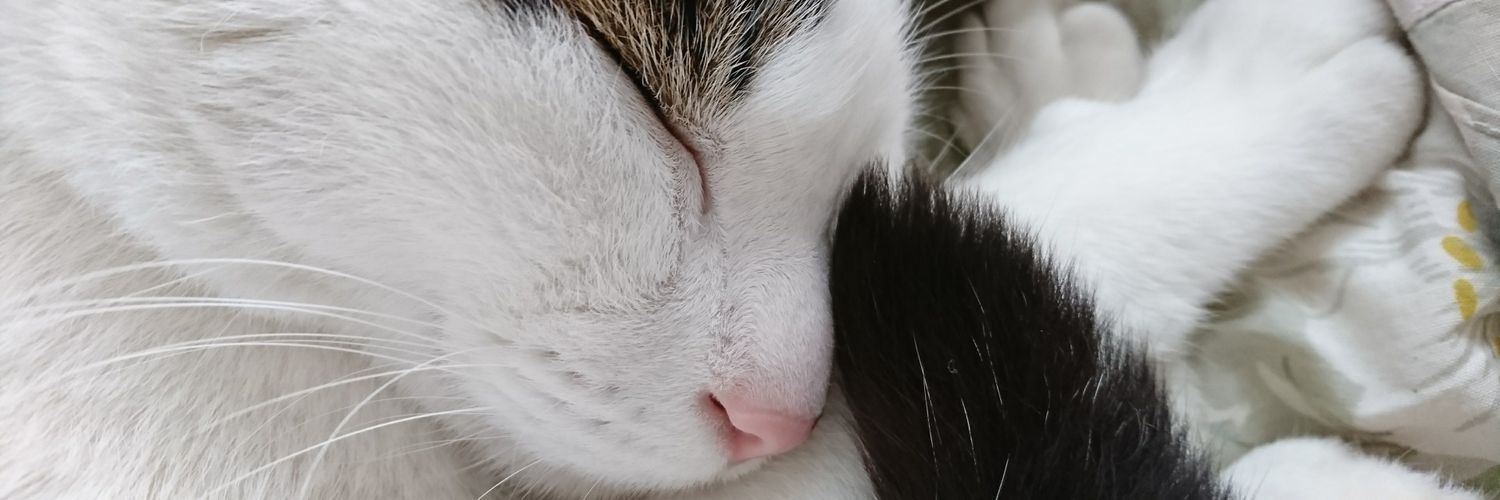 moko2yan's profile banner image