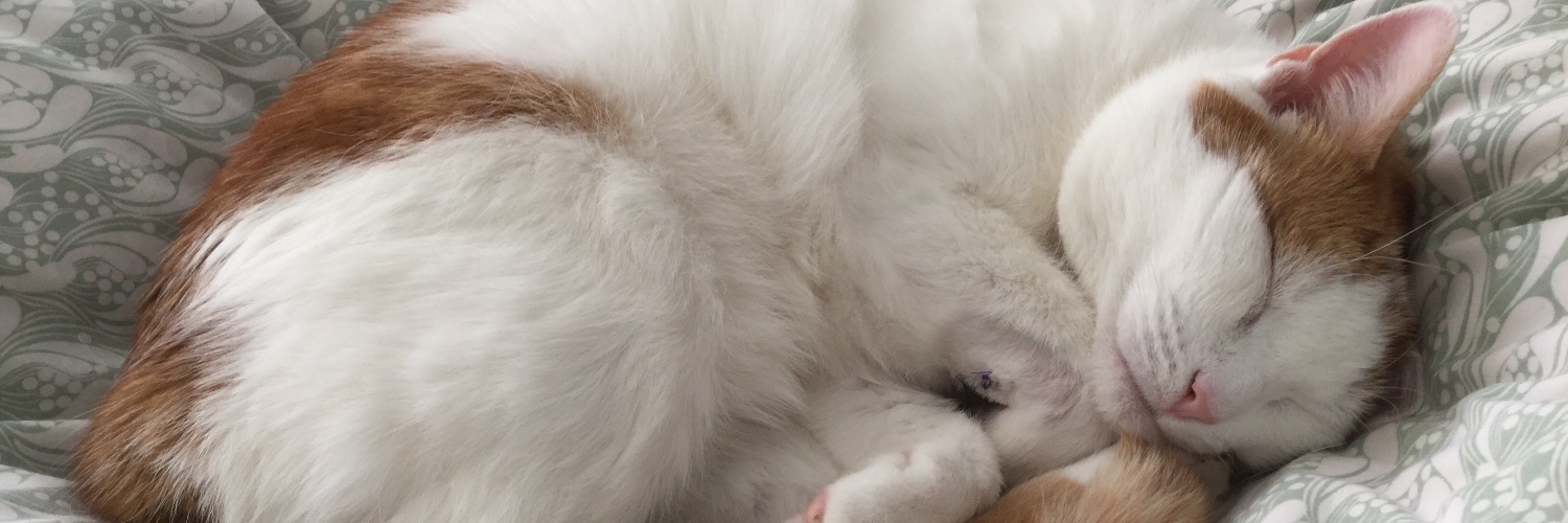 MissLowUpdates banner