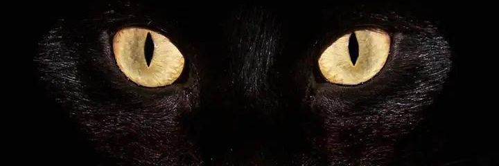 ༺👹地獄の門版👹༻ banner