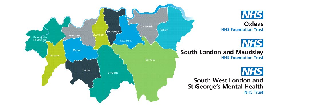 SLP Nursing Development Programme banner