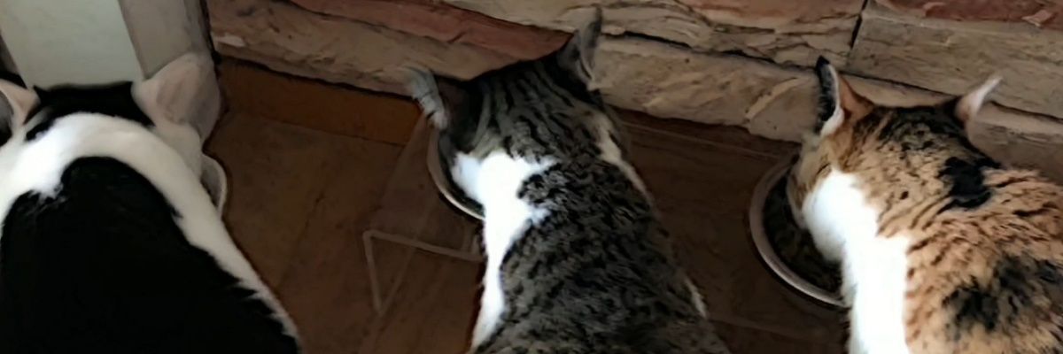 whathepark_'s profile banner image