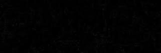 ToluLee's profile banner image