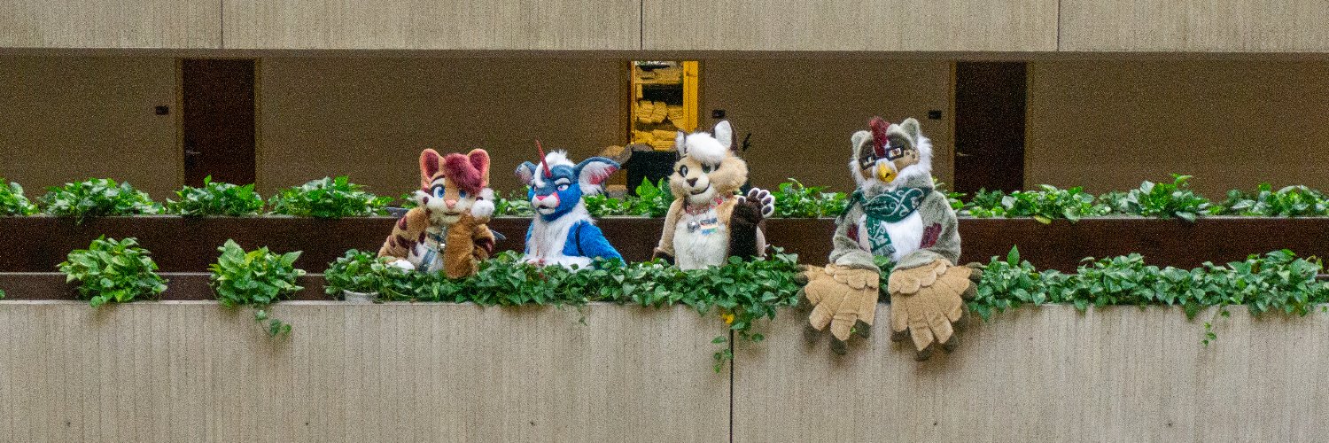 Pajama Cat Studio banner
