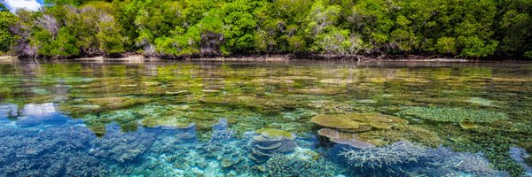 EvanFiorenza Profile Banner