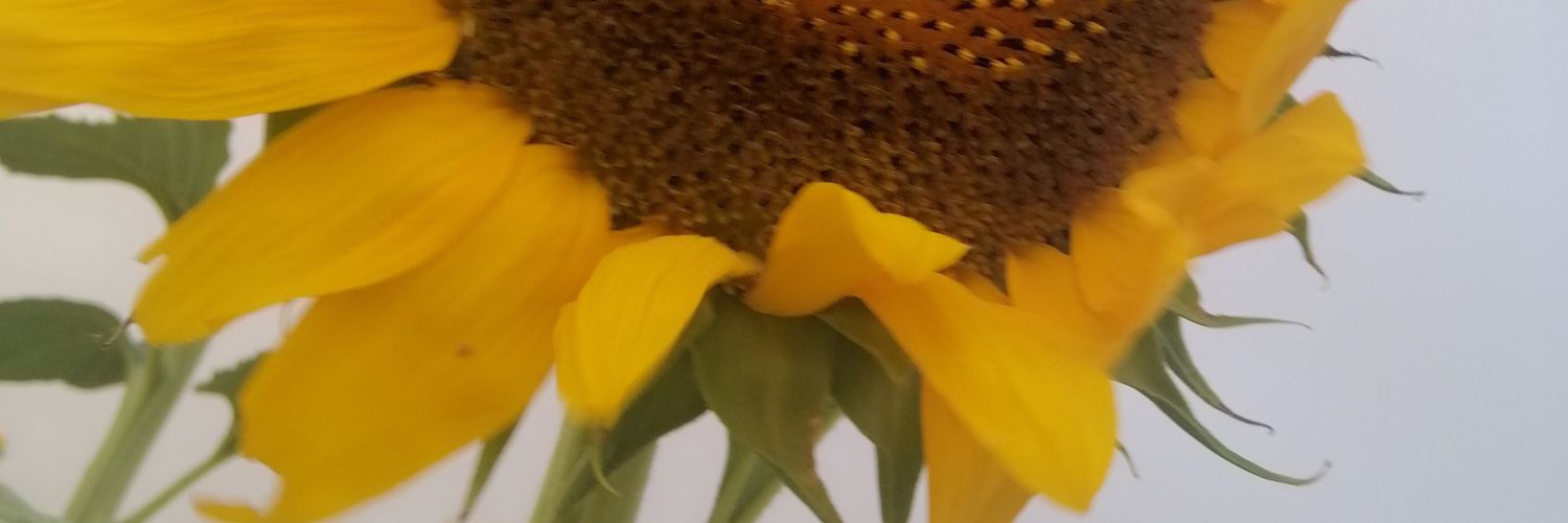 Emac2121's profile banner image
