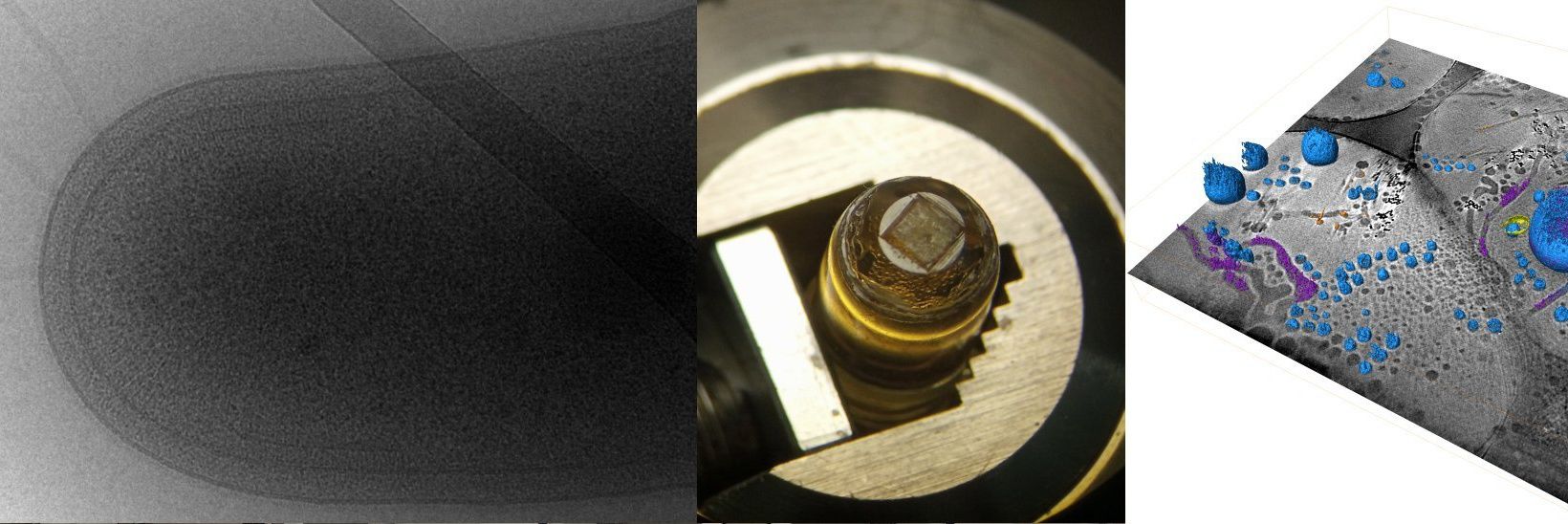 Sylvain Trépout banner