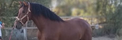 SalvaVoro's profile banner image