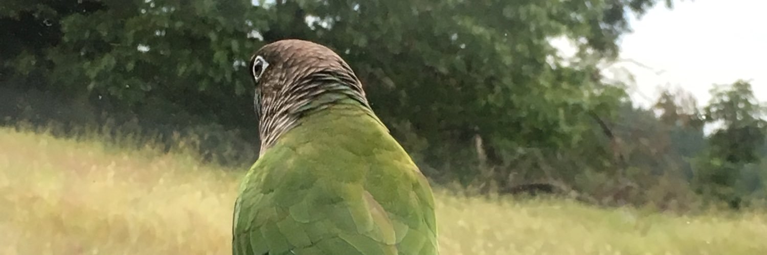WtPishuke's profile banner image