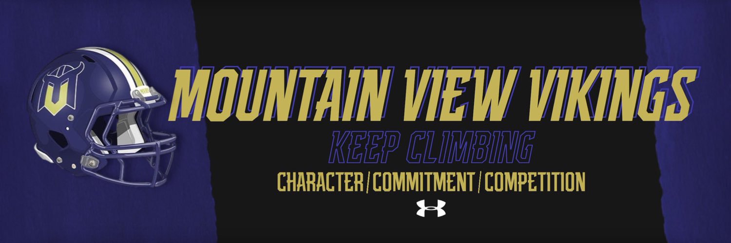 Mountain View Vikings Football banner