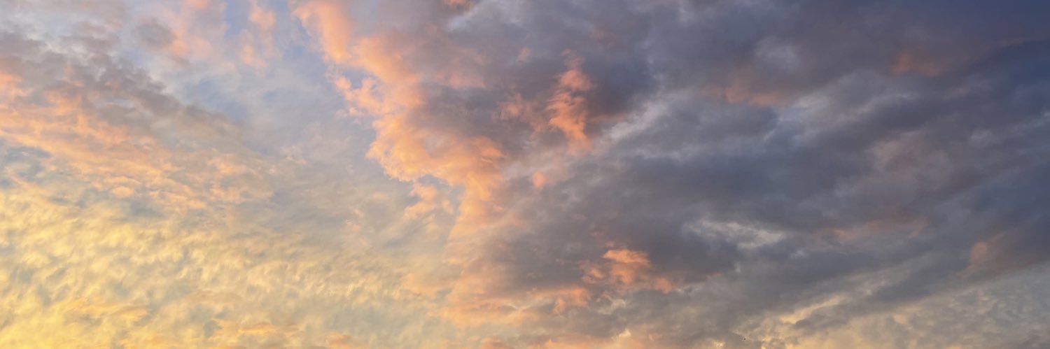 LoretosBeloved's profile banner image