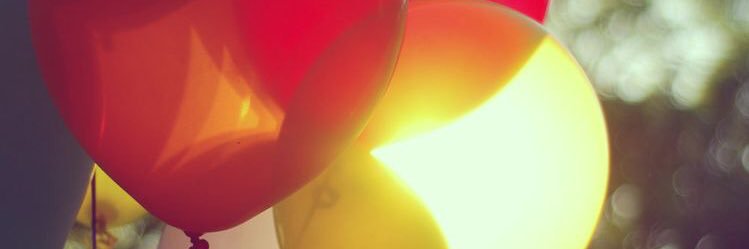 AynurAlacaoglu's profile banner image