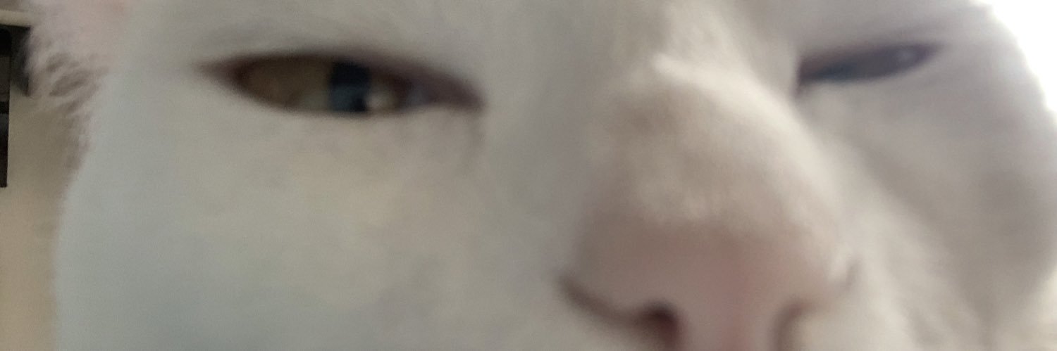 a tal da priel banner