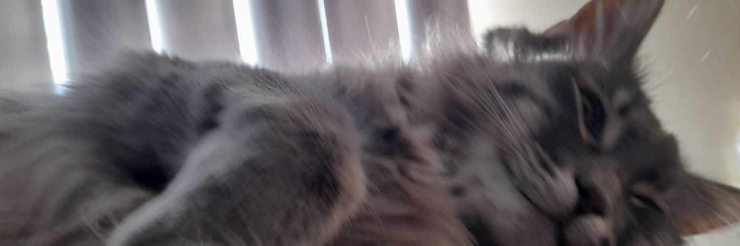 ScalderM's profile banner image