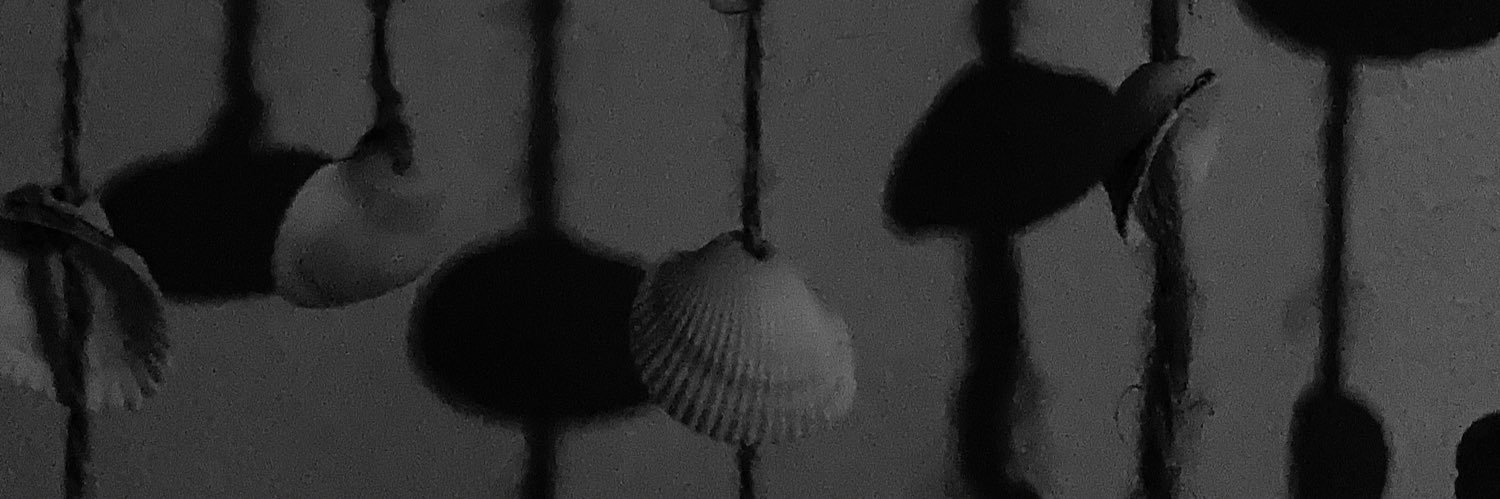 nisanurtoret's profile banner image