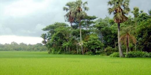 FatamaKkhatun's profile banner image