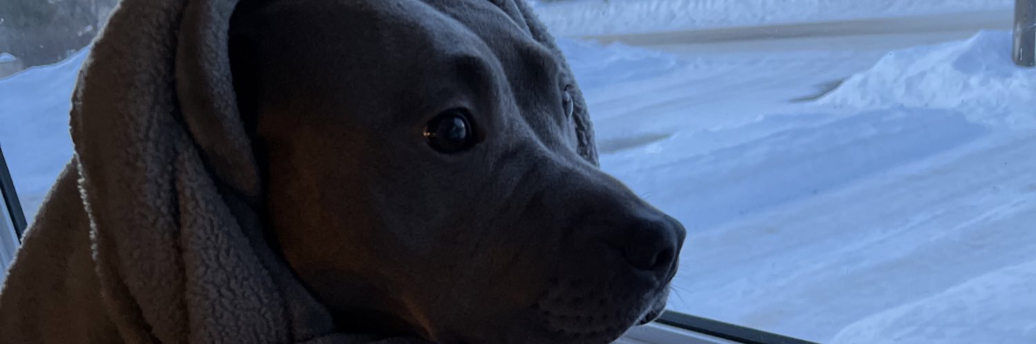 seannamccallum's profile banner image