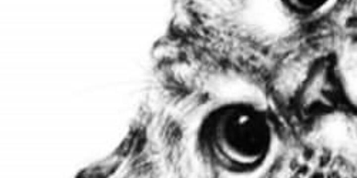 wtyass's profile banner image
