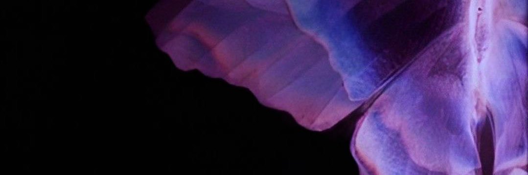 letgo2am's profile banner image