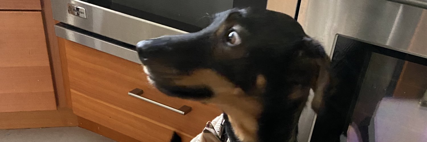 bphayes's profile banner image