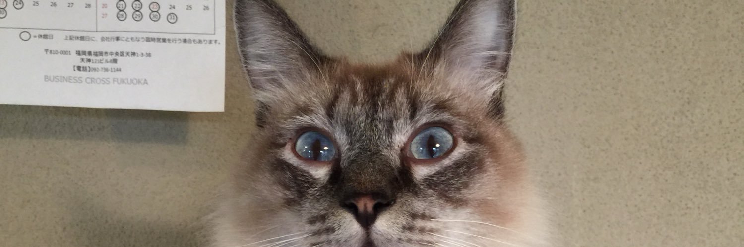 pono88's profile banner image