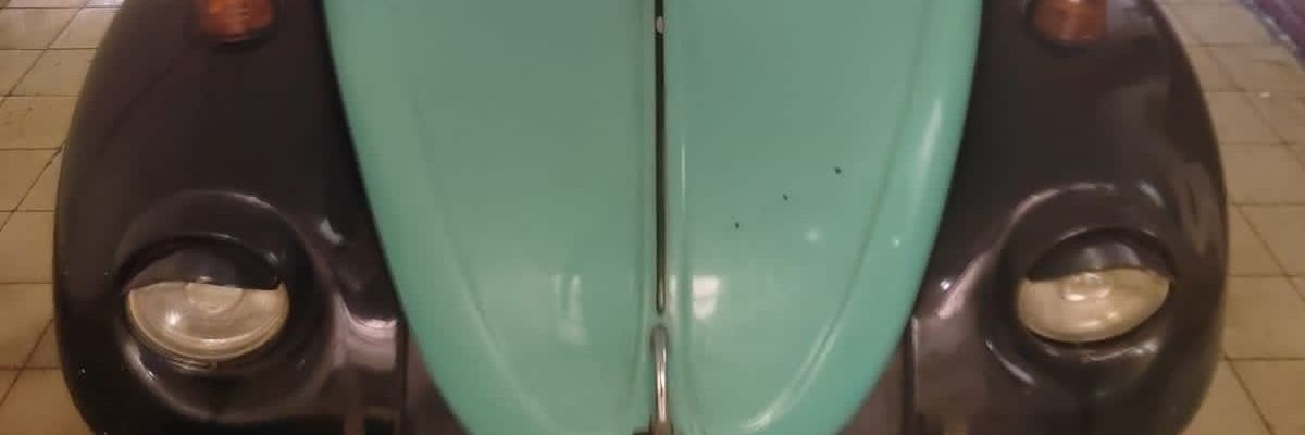 pilucka's profile banner image