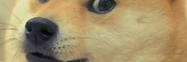 nippletuna Profile Banner