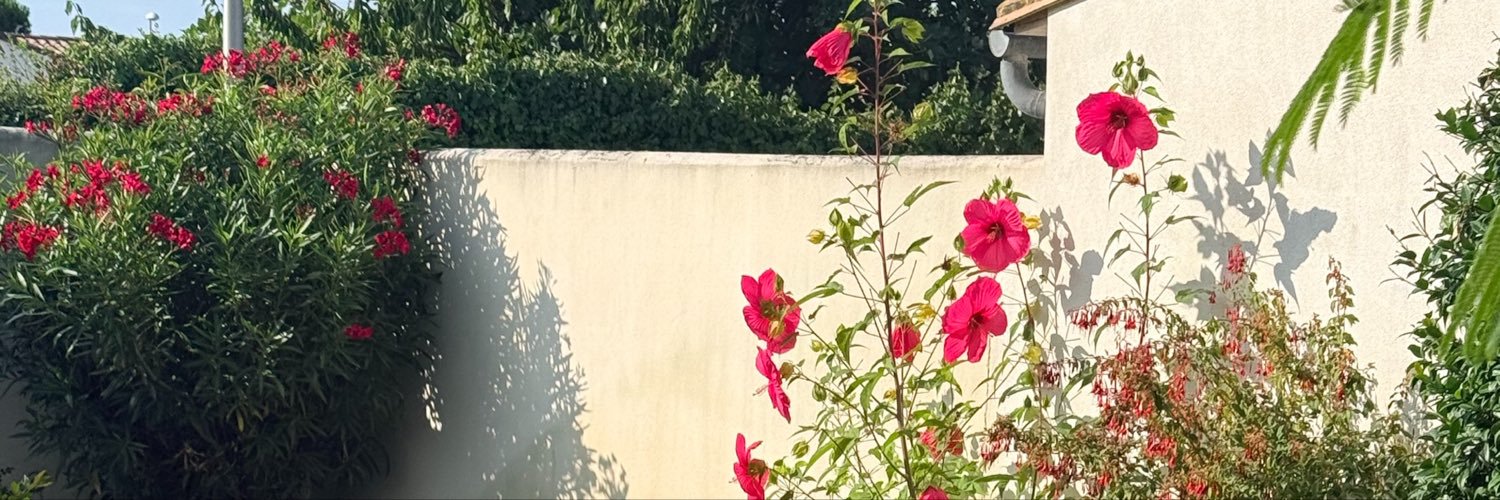 alincwine's profile banner image