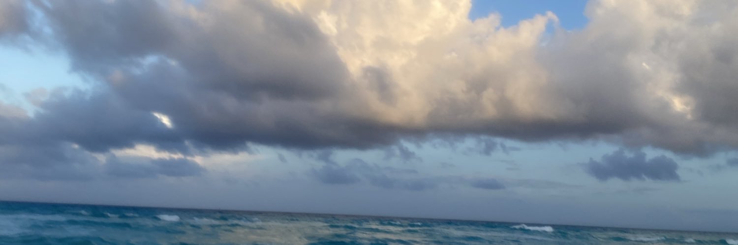ale🫧 banner