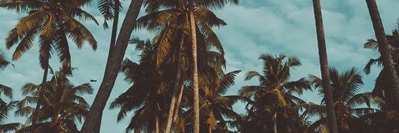 CourseyIla's profile banner image