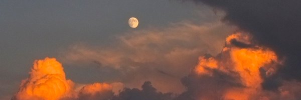 radfugee Profile Banner