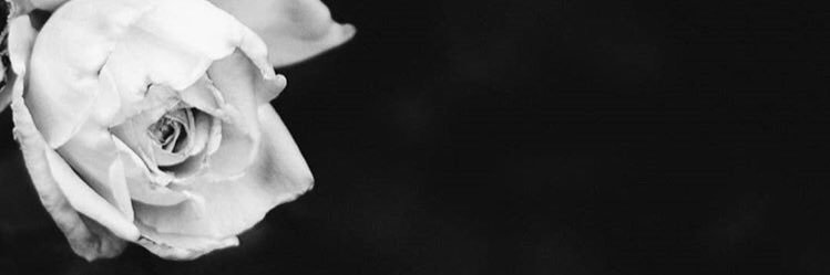 ebby_fera's profile banner image
