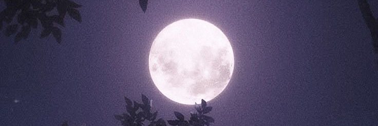 Nittzo's profile banner image