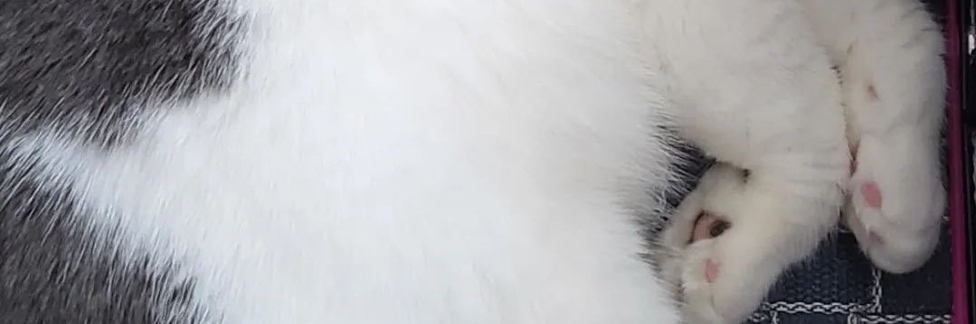 taem636's profile banner image