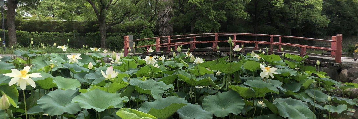 うさぎのおじさん banner