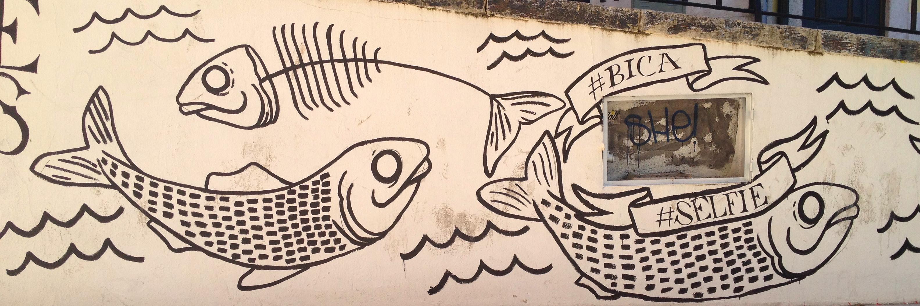 Nelson Branco banner