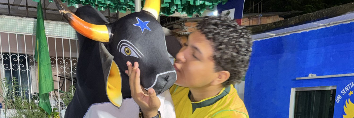 thayperfeitinho's profile banner image