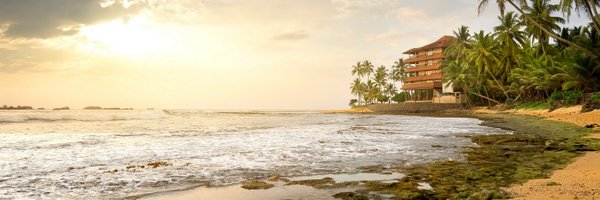 MithuRheum Profile Banner