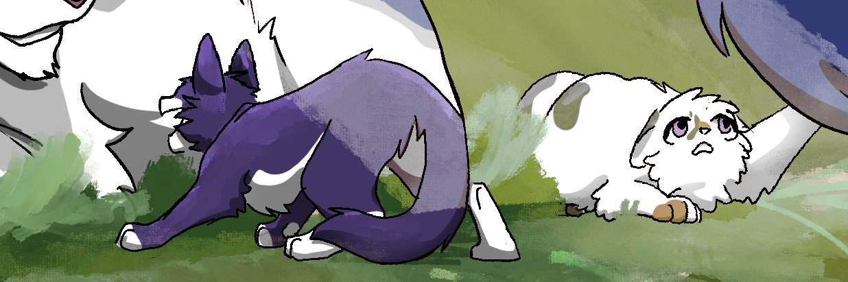 抹茶🍵's banner
