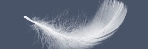 cpochris16's profile banner image