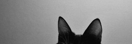 nine banner
